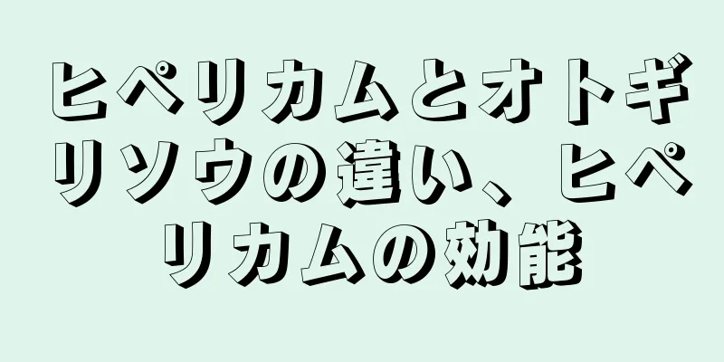 ヒペリカムとオトギリソウの違い、ヒペリカムの効能