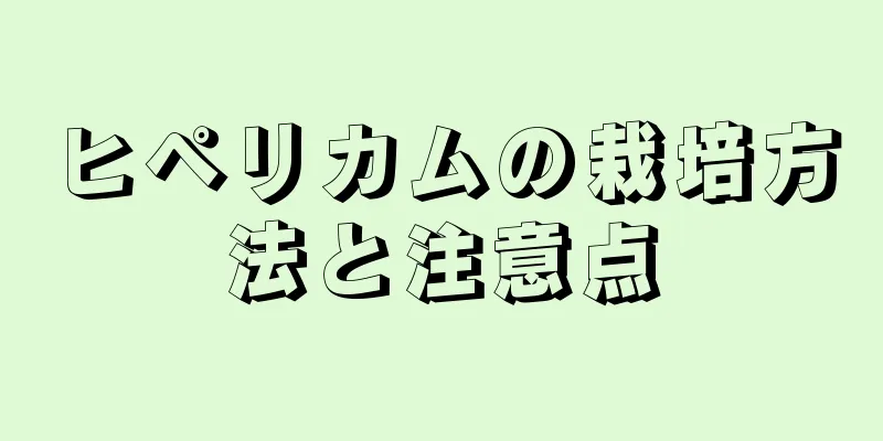 ヒペリカムの栽培方法と注意点