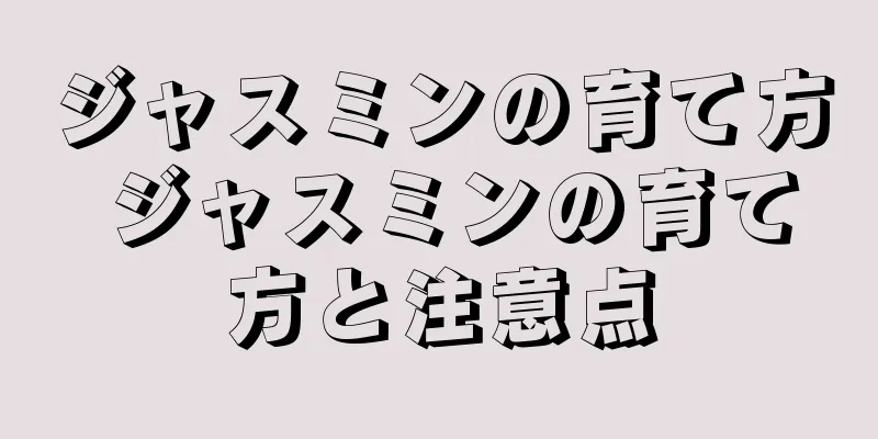 ジャスミンの育て方 ジャスミンの育て方と注意点