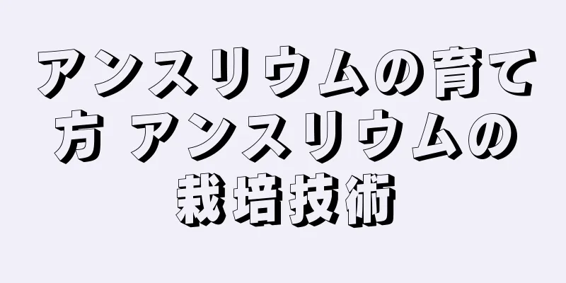 アンスリウムの育て方 アンスリウムの栽培技術