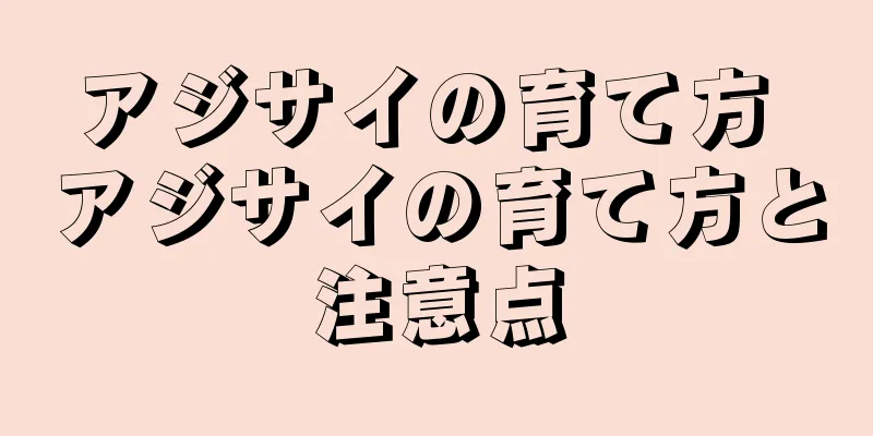 アジサイの育て方 アジサイの育て方と注意点