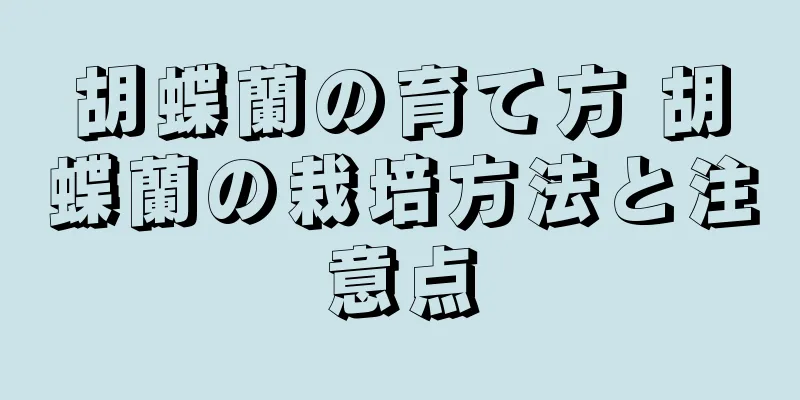 胡蝶蘭の育て方 胡蝶蘭の栽培方法と注意点