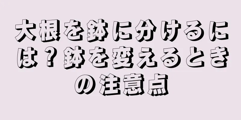大根を鉢に分けるには？鉢を変えるときの注意点