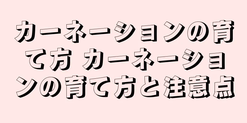 カーネーションの育て方 カーネーションの育て方と注意点