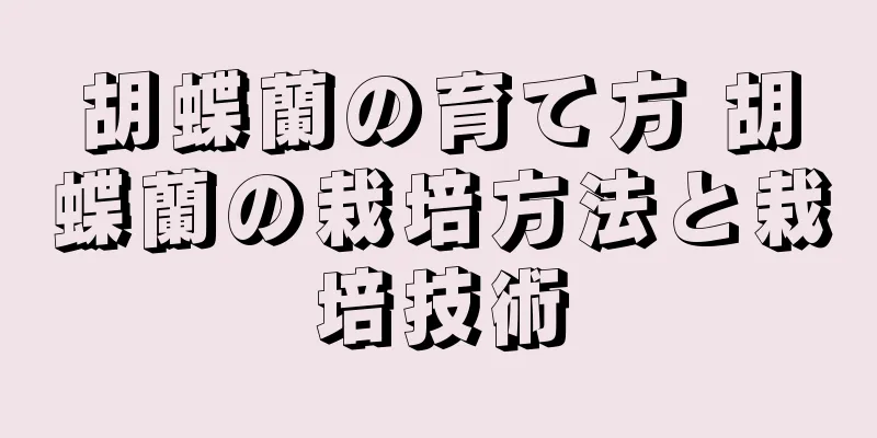 胡蝶蘭の育て方 胡蝶蘭の栽培方法と栽培技術