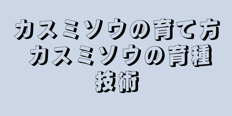 カスミソウの育て方 カスミソウの育種技術
