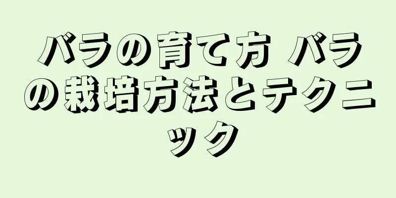バラの育て方 バラの栽培方法とテクニック