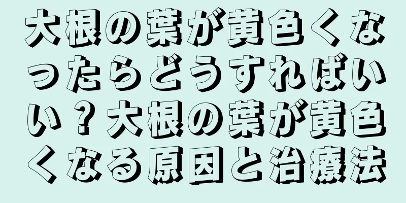大根の葉が黄色くなったらどうすればいい？大根の葉が黄色くなる原因と治療法