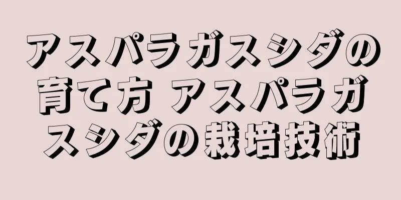 アスパラガスシダの育て方 アスパラガスシダの栽培技術