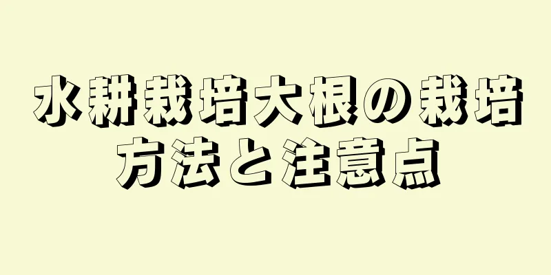 水耕栽培大根の栽培方法と注意点