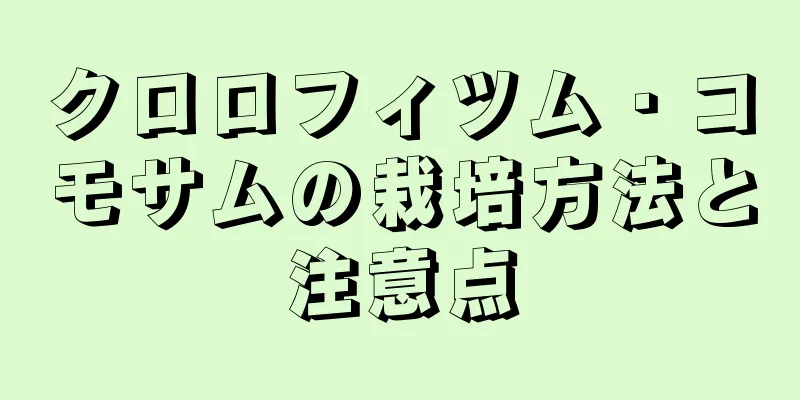 クロロフィツム・コモサムの栽培方法と注意点