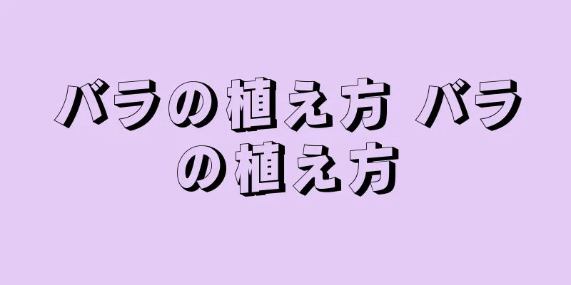 バラの植え方 バラの植え方