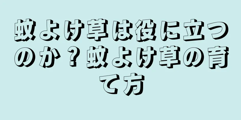 蚊よけ草は役に立つのか？蚊よけ草の育て方