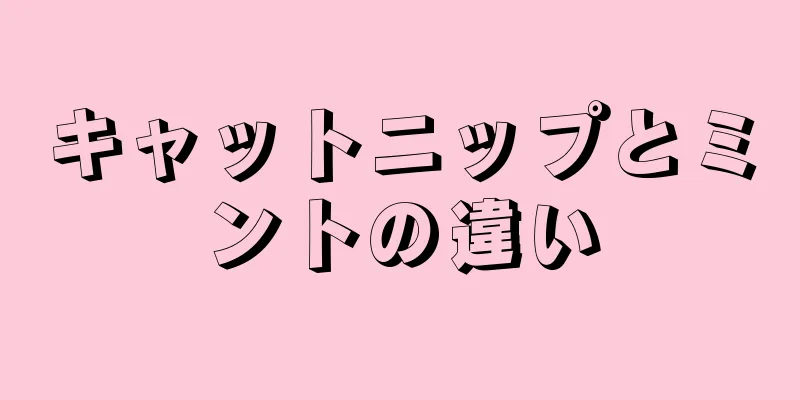 キャットニップとミントの違い
