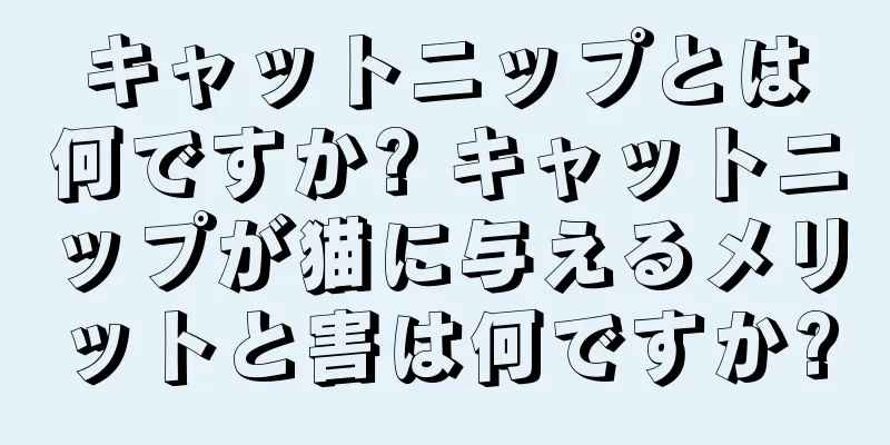 キャットニップとは何ですか? キャットニップが猫に与えるメリットと害は何ですか?