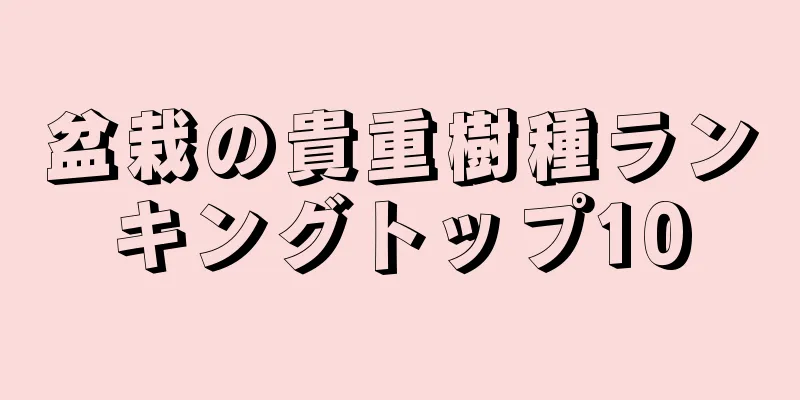 盆栽の貴重樹種ランキングトップ10