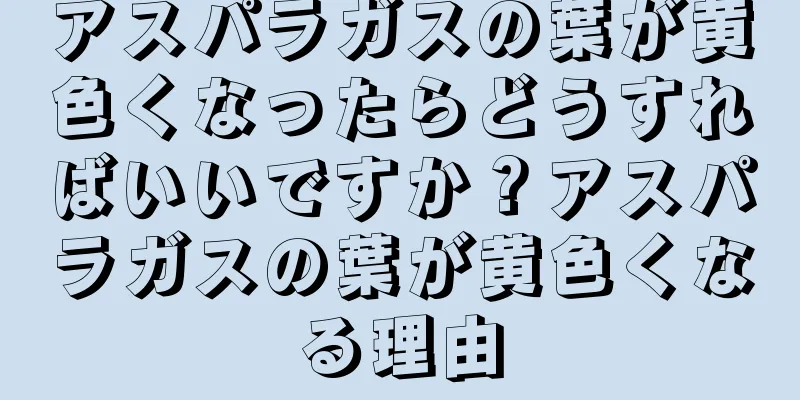アスパラガスの葉が黄色くなったらどうすればいいですか？アスパラガスの葉が黄色くなる理由