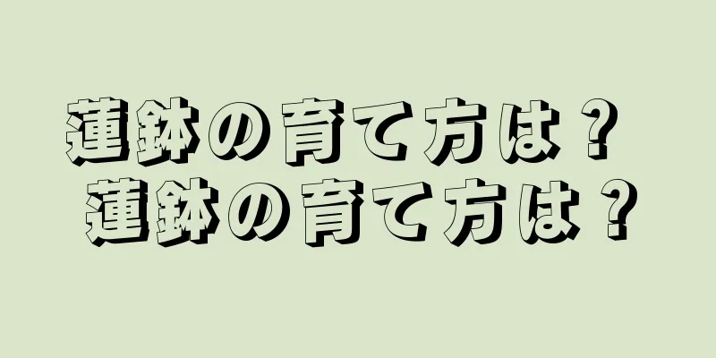蓮鉢の育て方は？ 蓮鉢の育て方は？