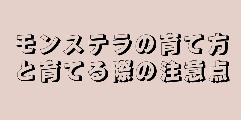 モンステラの育て方と育てる際の注意点