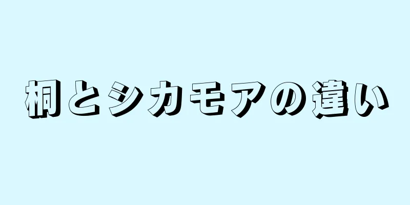桐とシカモアの違い