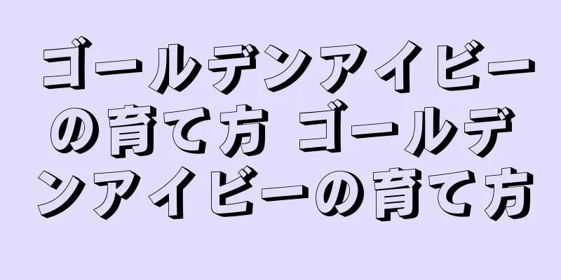 ゴールデンアイビーの育て方 ゴールデンアイビーの育て方
