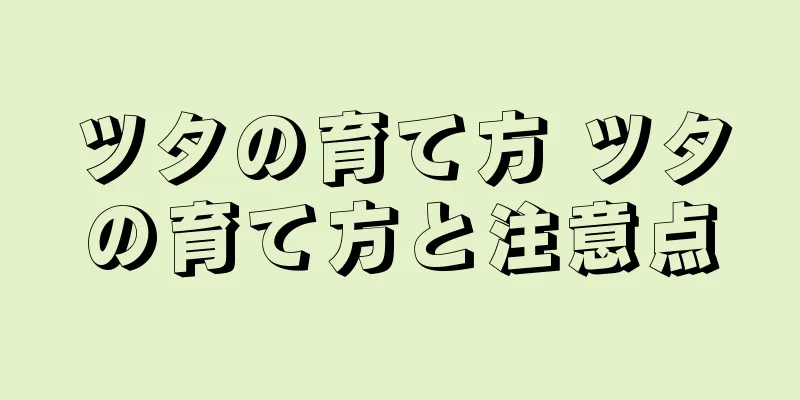 ツタの育て方 ツタの育て方と注意点