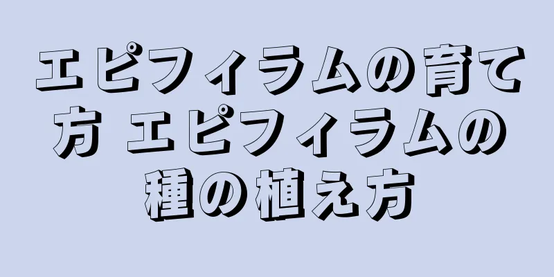 エピフィラムの育て方 エピフィラムの種の植え方