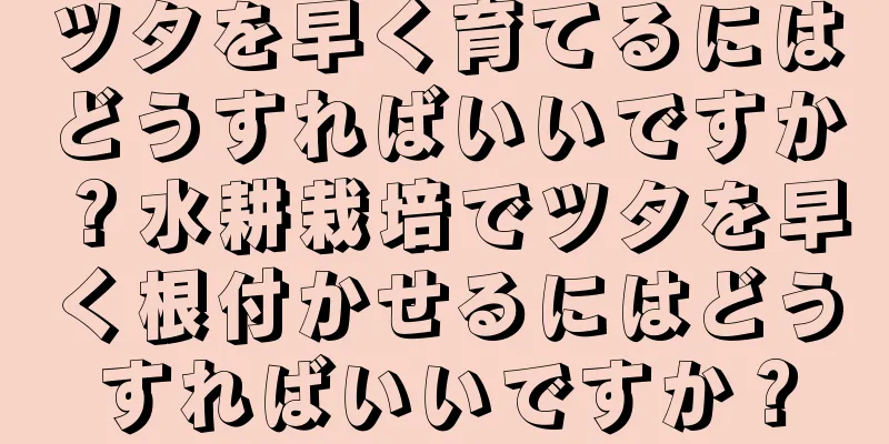 ツタを早く育てるにはどうすればいいですか？水耕栽培でツタを早く根付かせるにはどうすればいいですか？