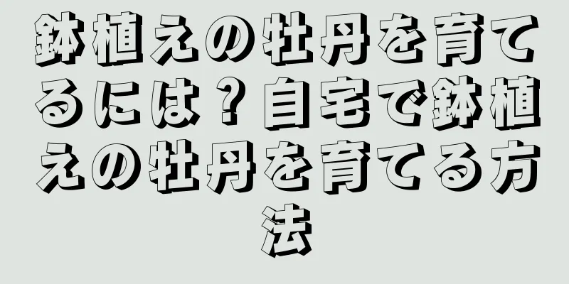 鉢植えの牡丹を育てるには？自宅で鉢植えの牡丹を育てる方法