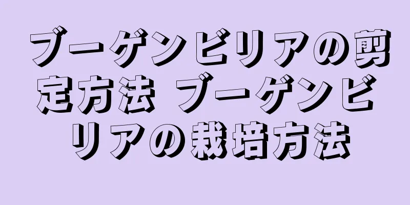 ブーゲンビリアの剪定方法 ブーゲンビリアの栽培方法