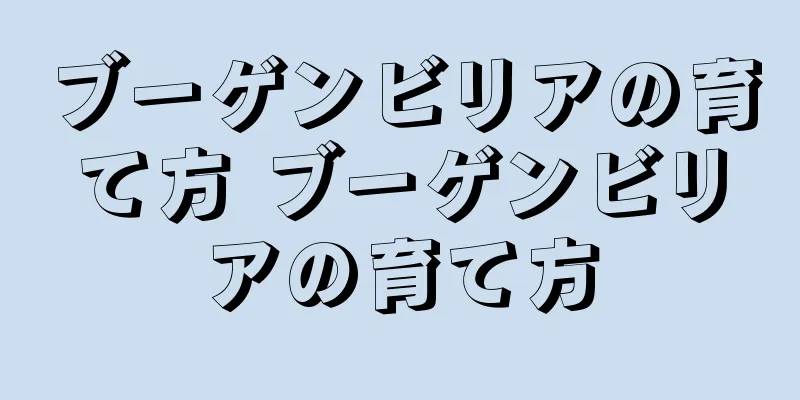 ブーゲンビリアの育て方 ブーゲンビリアの育て方