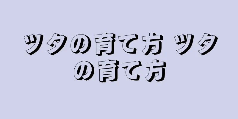 ツタの育て方 ツタの育て方