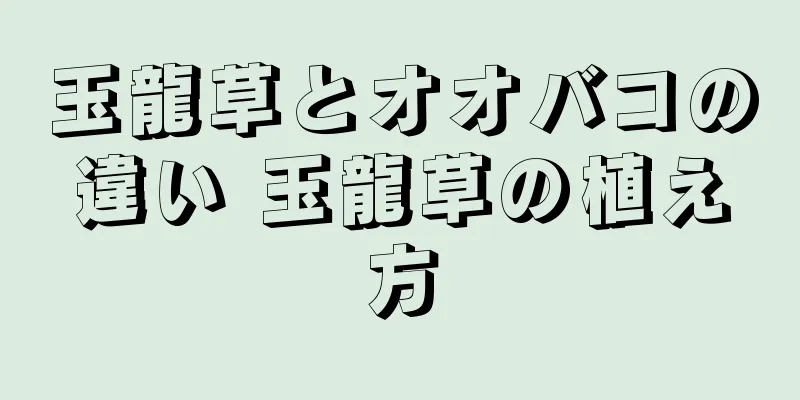 玉龍草とオオバコの違い 玉龍草の植え方
