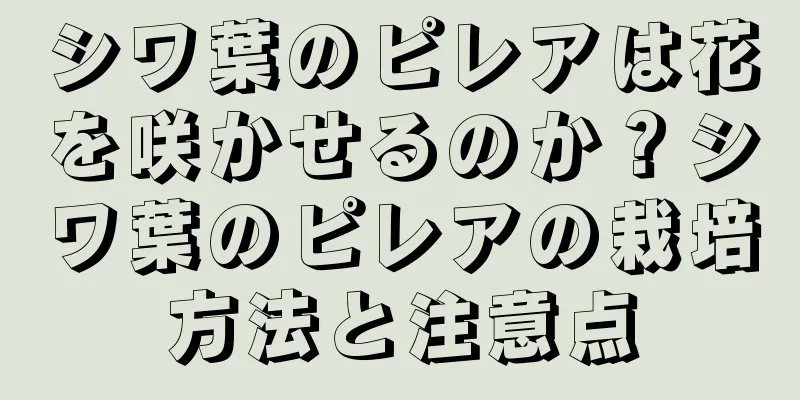 シワ葉のピレアは花を咲かせるのか？シワ葉のピレアの栽培方法と注意点