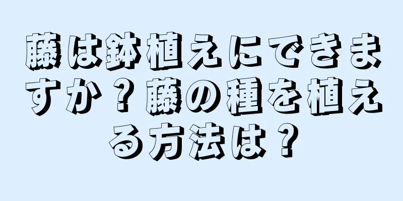 藤は鉢植えにできますか？藤の種を植える方法は？