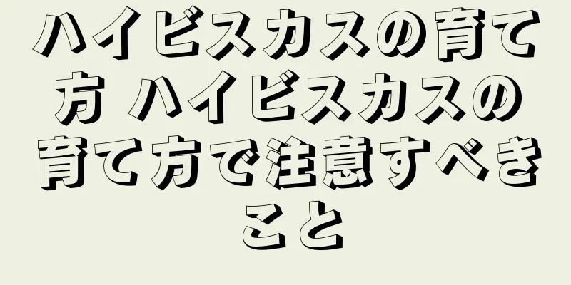ハイビスカスの育て方 ハイビスカスの育て方で注意すべきこと