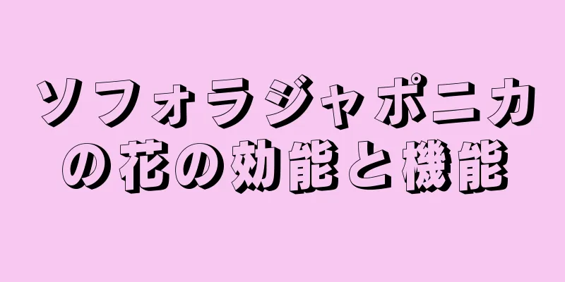 ソフォラジャポニカの花の効能と機能