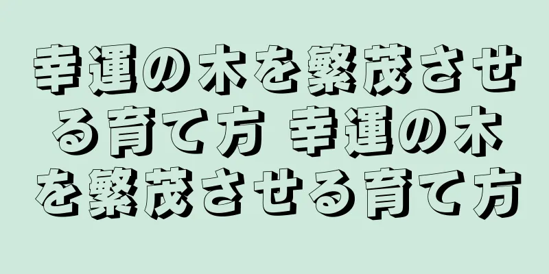 幸運の木を繁茂させる育て方 幸運の木を繁茂させる育て方