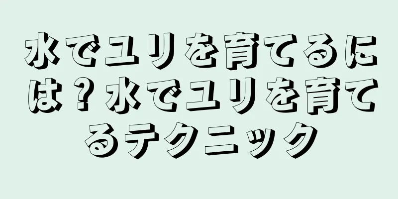 水でユリを育てるには？水でユリを育てるテクニック