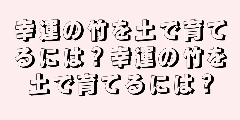 幸運の竹を土で育てるには？幸運の竹を土で育てるには？