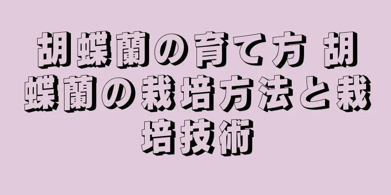 胡蝶蘭の育て方 胡蝶蘭の栽培方法と栽培技術
