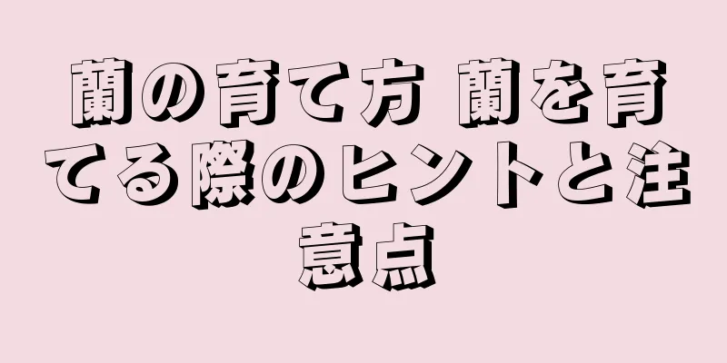 蘭の育て方 蘭を育てる際のヒントと注意点