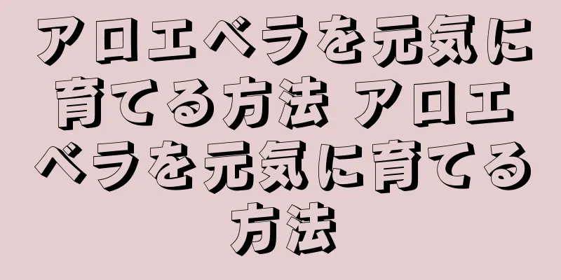 アロエベラを元気に育てる方法 アロエベラを元気に育てる方法