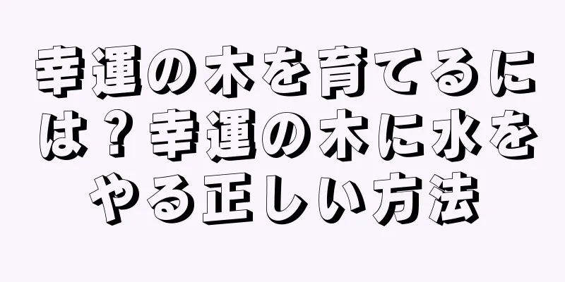 幸運の木を育てるには？幸運の木に水をやる正しい方法