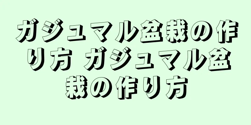 ガジュマル盆栽の作り方 ガジュマル盆栽の作り方