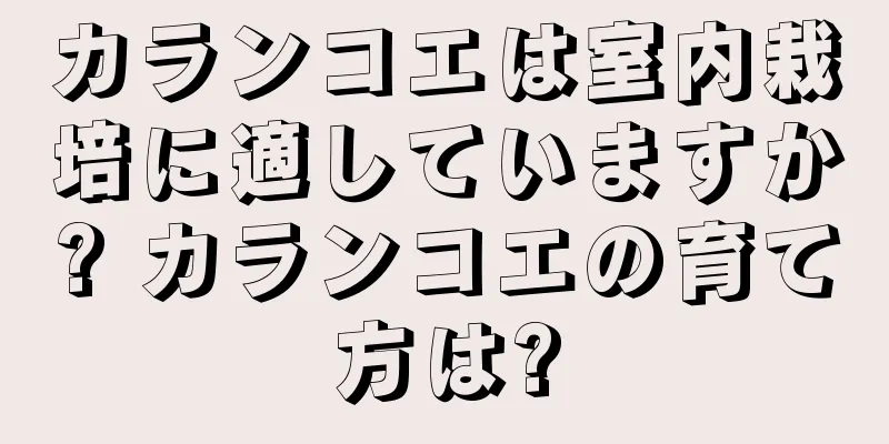 カランコエは室内栽培に適していますか? カランコエの育て方は?