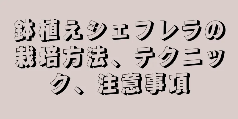 鉢植えシェフレラの栽培方法、テクニック、注意事項
