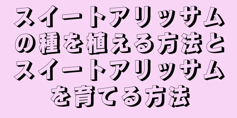 スイートアリッサムの種を植える方法とスイートアリッサムを育てる方法