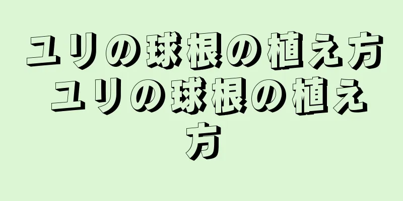 ユリの球根の植え方 ユリの球根の植え方