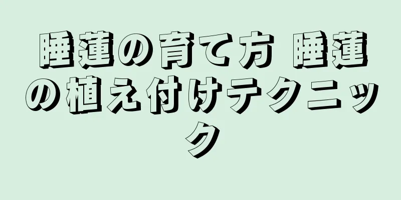 睡蓮の育て方 睡蓮の植え付けテクニック